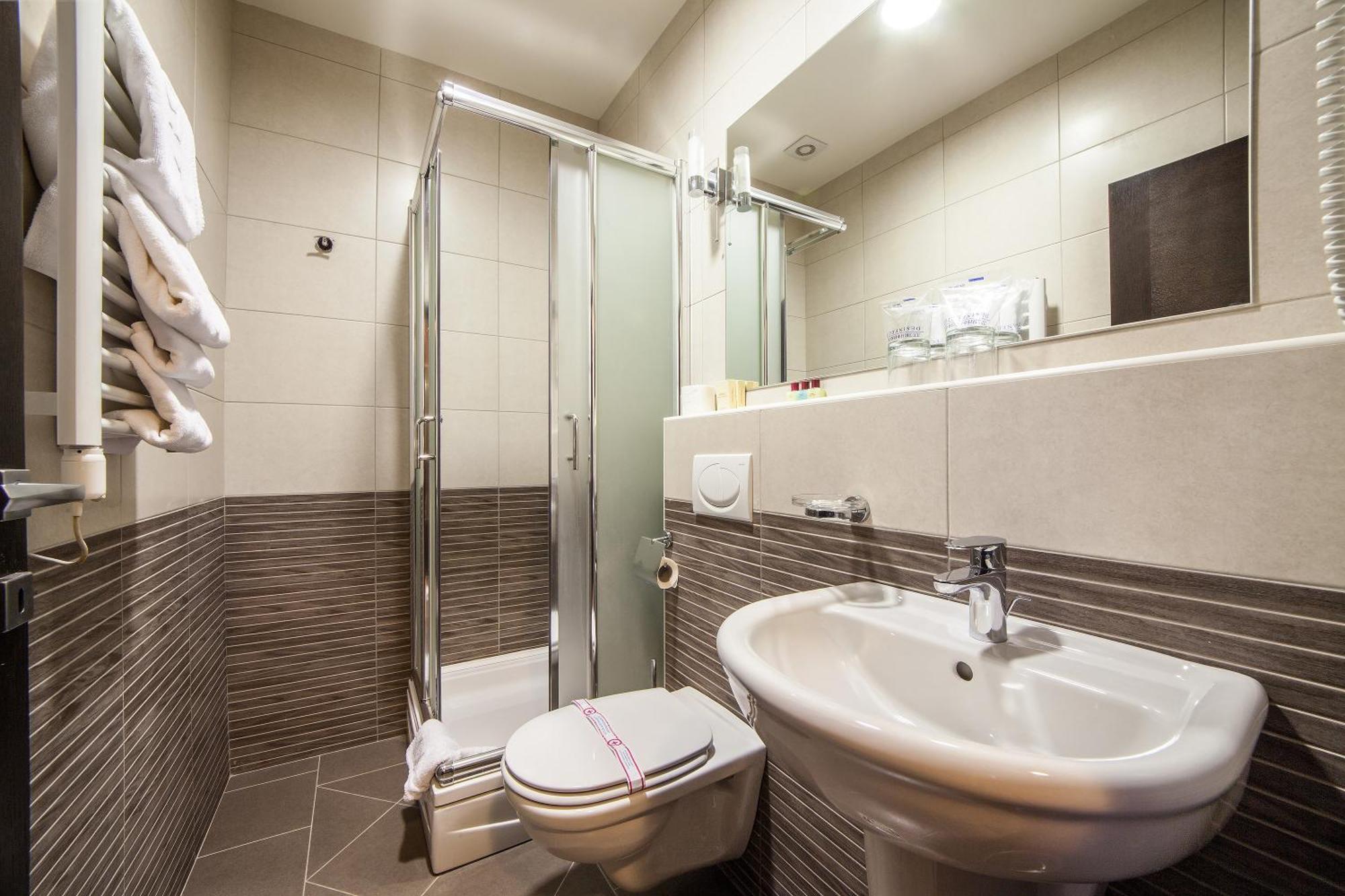 Hotel Terminus Podgoriţa Cameră foto